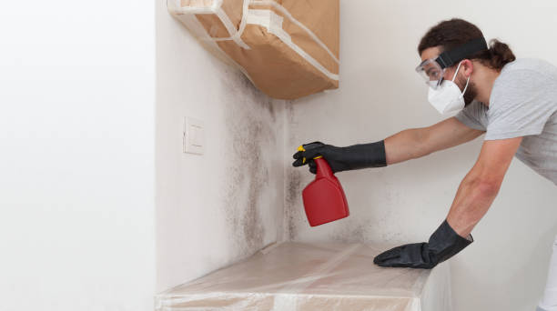 Professional Mold Remediation technician working in Vandalia, MI