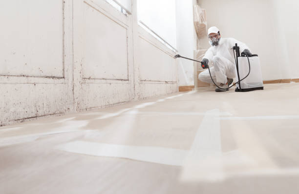 24/7 Emergency Mold Remediation experts in Vandalia, MI